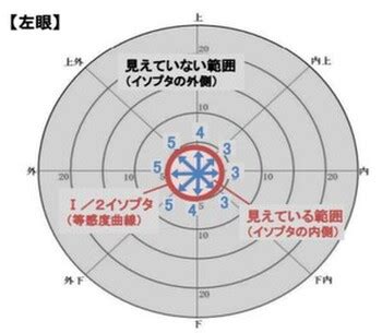 人類視覺角度|視野